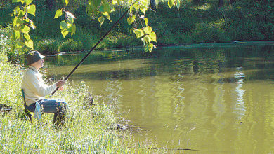 Photo of Где и как ловить в жару