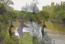 Photo of Забытые ложки