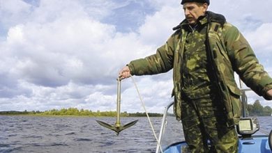 Photo of Ловим леща на бортовую удочку