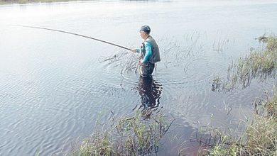 Photo of Ловим успешно окуней на отвесное блеснение