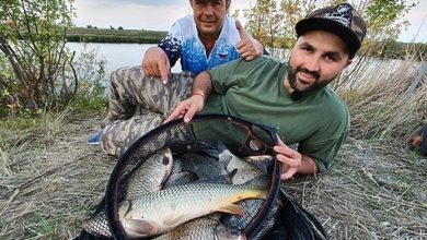 Photo of Оказывается, сазан – это непросто!