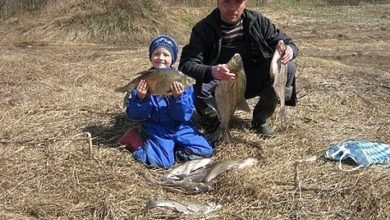 Photo of За кем лучше осенью охотиться