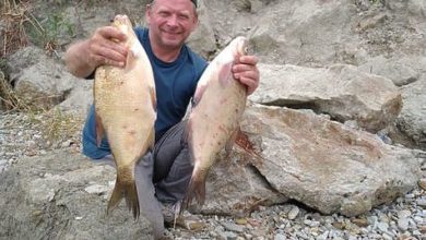 Photo of Новости рыбалки в Беларуси