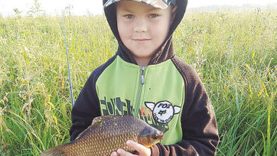 Photo of Рыбалка с сыном