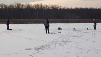 Photo of Первые поклевки со льда