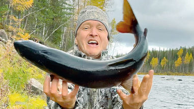 Photo of Каменные реки
