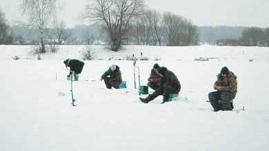 Photo of Зимняя глубинная рыбалка без насадки