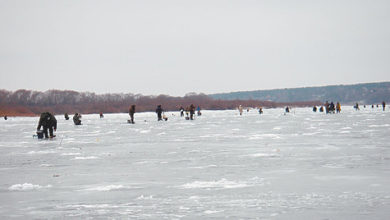 Photo of Вести с водоемов