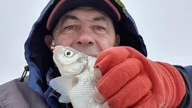 Photo of Задал чертей лещам