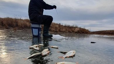 Photo of День рождения на рыбалке – это прикольно
